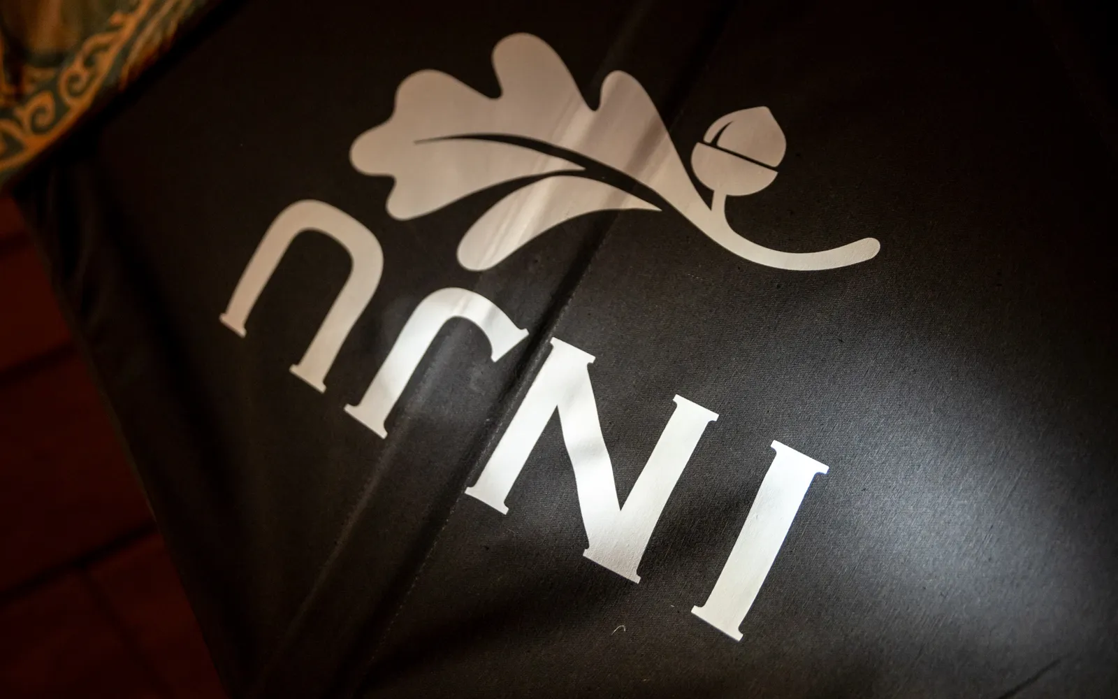 Мудборд обновлённого фирменного стиля INJU